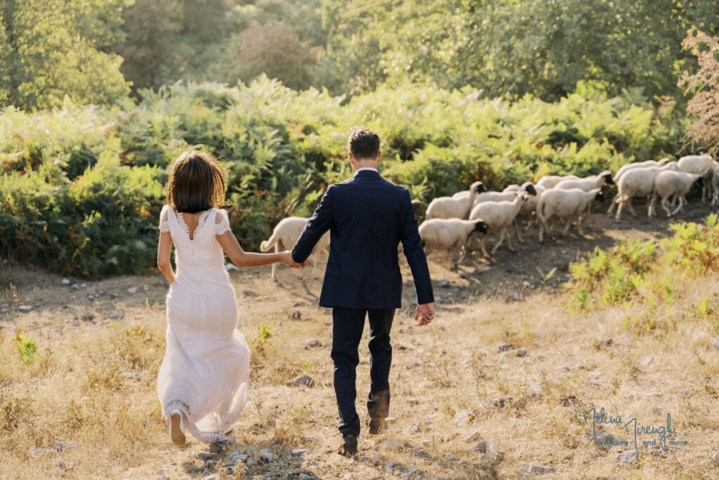 Sposi in campagna con gregge